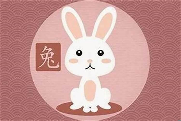 生肖兔的性格特点是什么