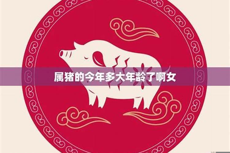 属兔的今年多大年龄2025