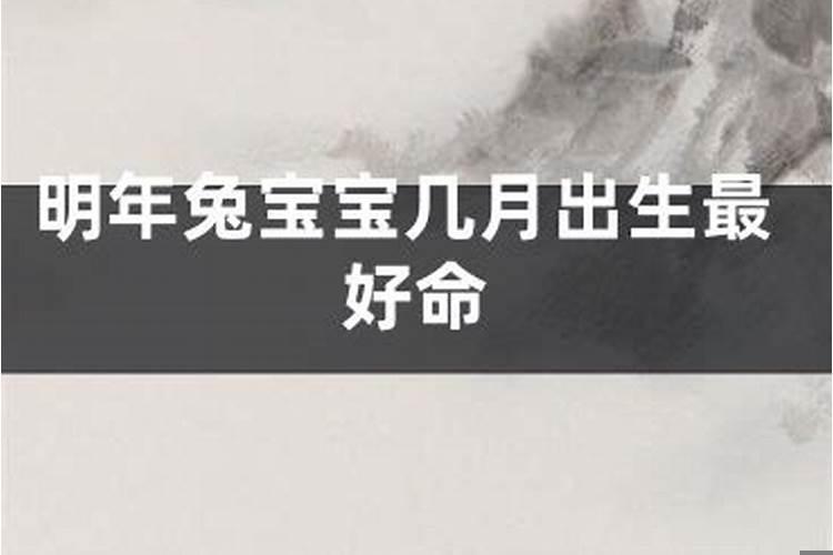 2025年的几月牛宝宝出生好