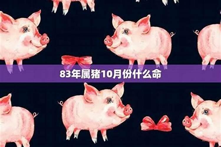 属猪的人有什么特点和性格