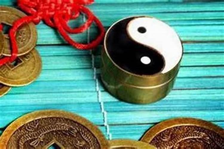 家里放什么招财运好