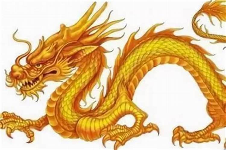 龙年哪几个生肖犯太岁