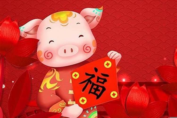 属猪的人有什么特点和性格