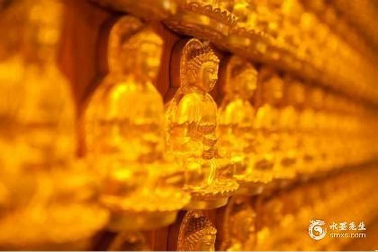 女人六两一钱命好吗