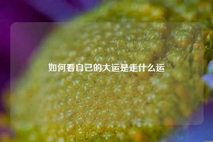 八字五行及命卦分析财运