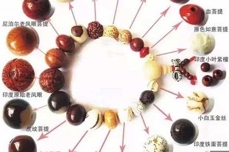 情侣的生肖