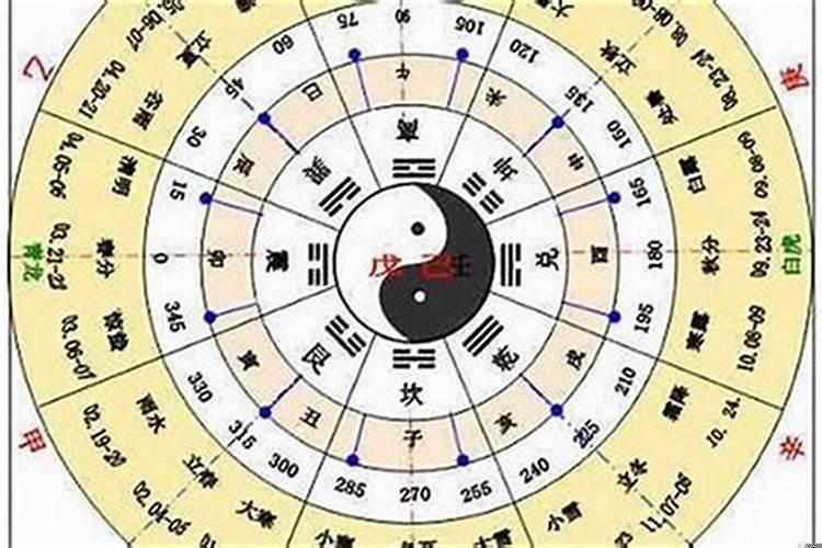 91年十月初九的羊命运如何男