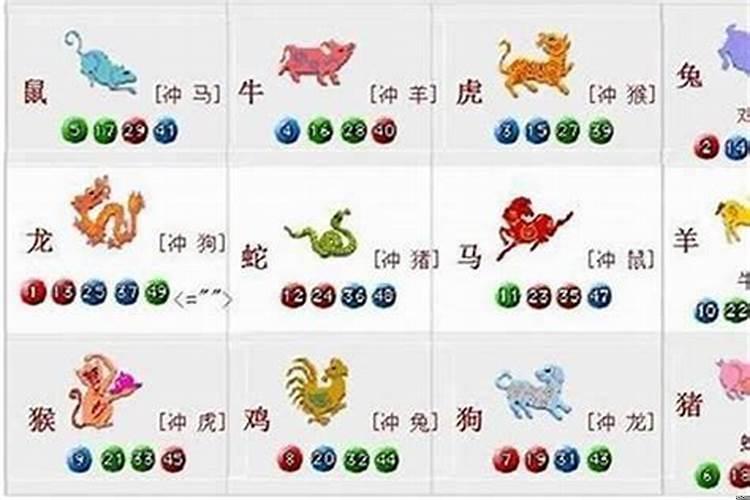 十二生肖最忠心的动物是什么啊