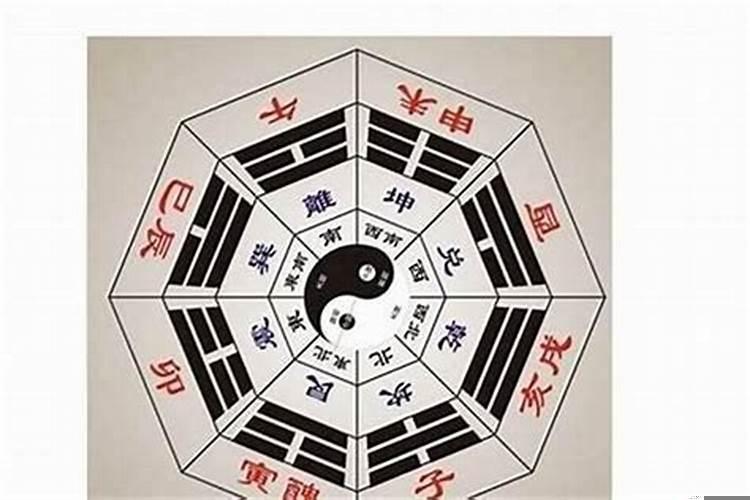 属马婚配什么属相