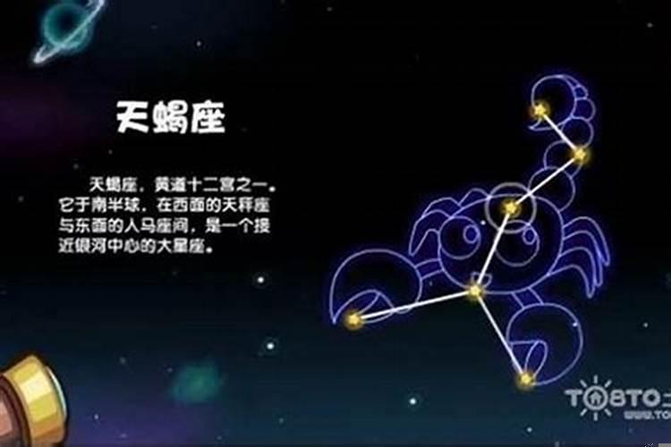 射手男适合做什么职业?