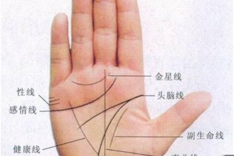 手掌上哪条是婚姻线
