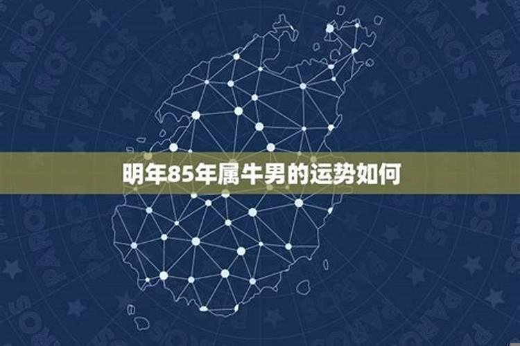 属牛的女人婚姻如何