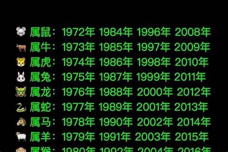 老鼠最怕什么味的东西