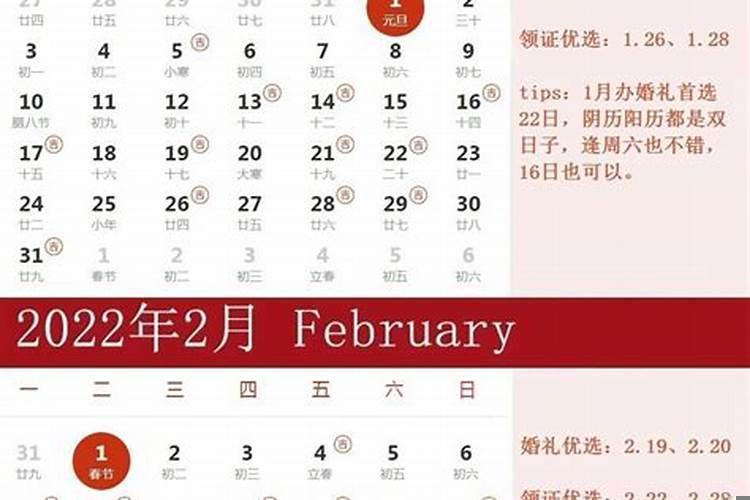 丁卯壬子丙辰己亥女八字