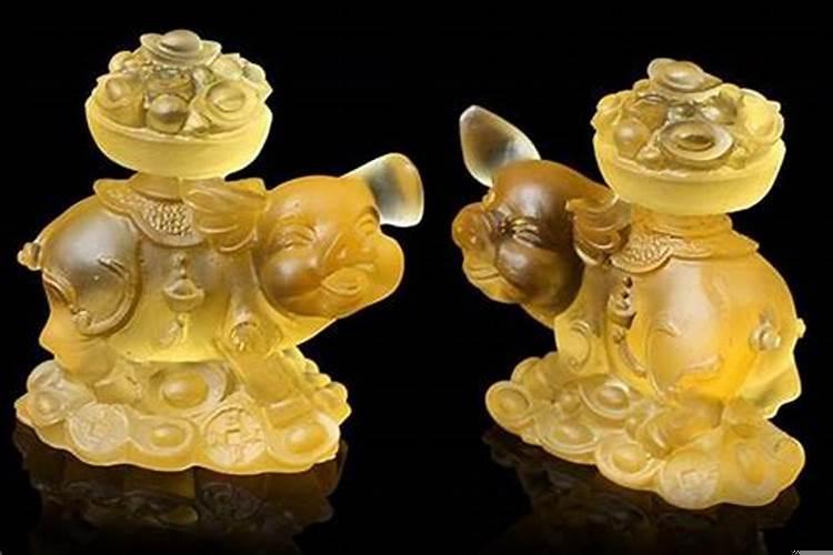 属猪的家里摆什么好