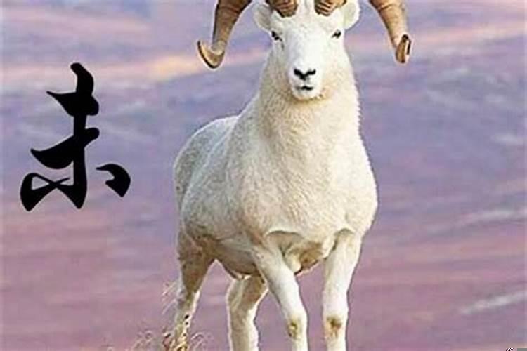 属羊的在2025年的运势好不好呢羊