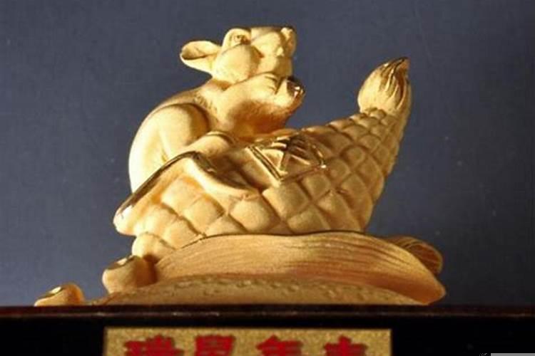 199几年属鼠的