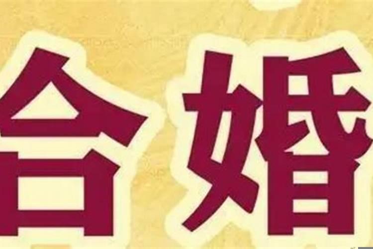 婚姻合婚是什么意思