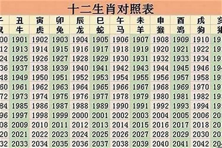 今年96年属什么生肖