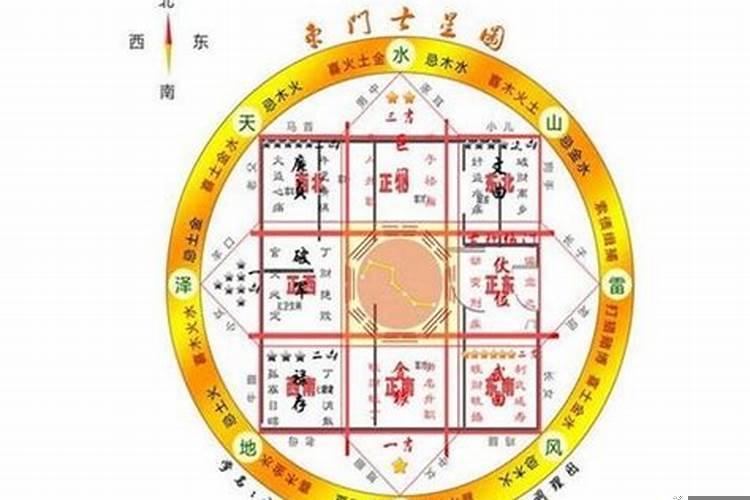 室内植物摆放风水禁忌都有哪些东西