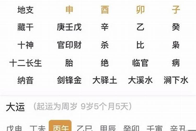 戊子年丙辰月辛巳日癸巳时生女