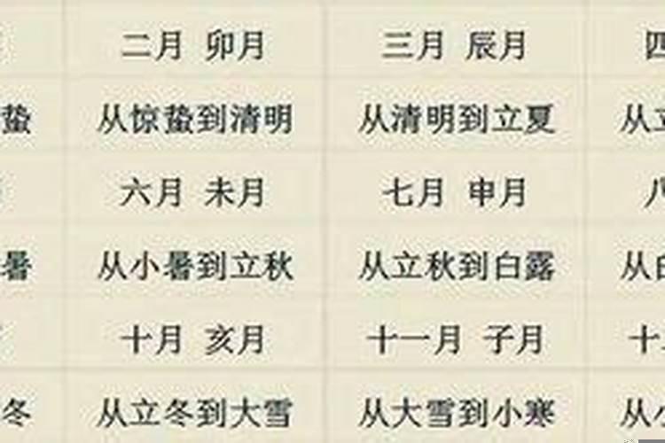 戊子年丙辰月辛巳日癸巳时生女