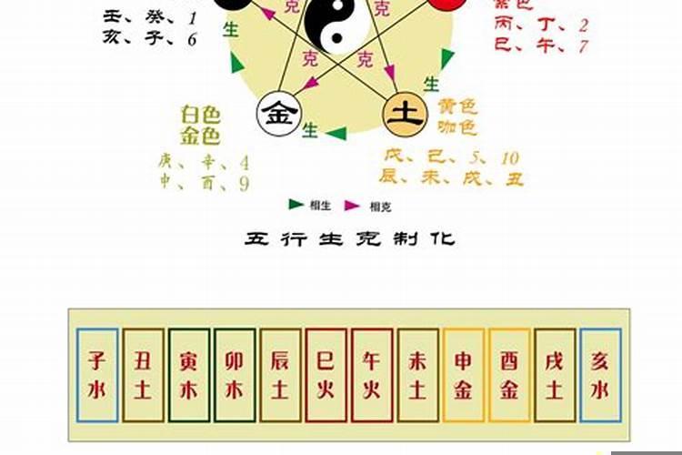 五行与天干地支的对应关系
