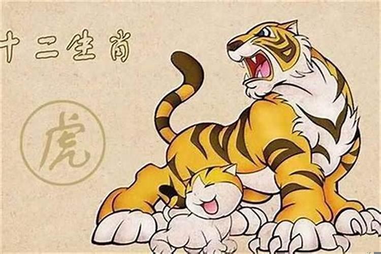 属虎的女生2022年可以结婚吗