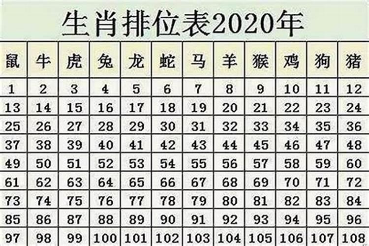 199几年属鼠的