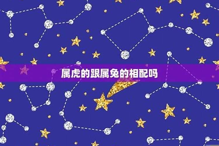 生肖虎和生肖兔相配吗?