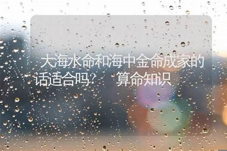 大海水和海中金命