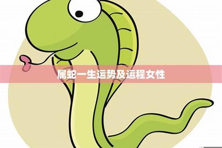属蛇的一生运气和命运