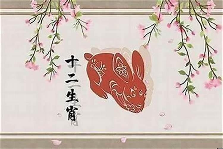 2025年几月份的兔宝宝最好命
