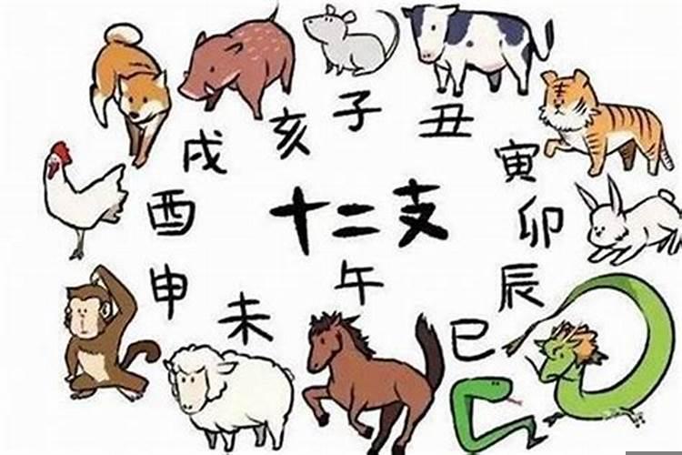 十二生肖哪几肖是小肖