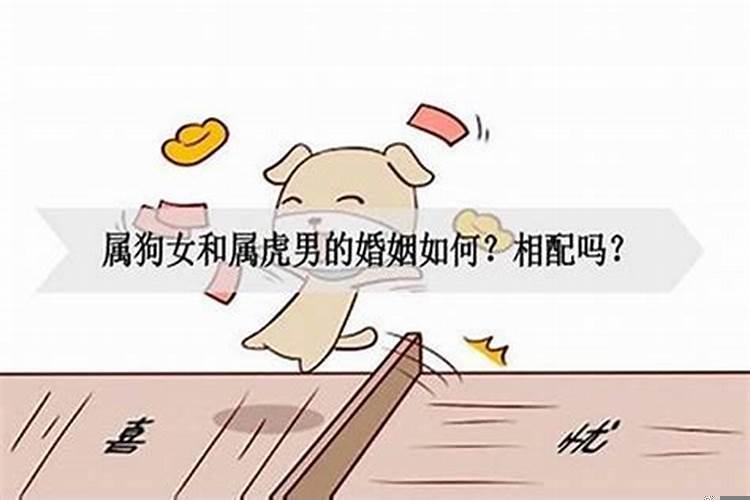 女虎男狗婚姻相配好吗