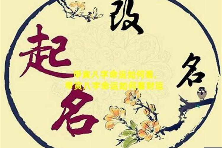 甲寅日柱财运如何