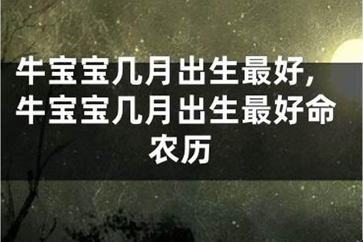 2021年几月的牛命好