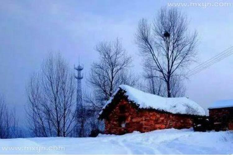 梦见下大雪预示着什么预兆