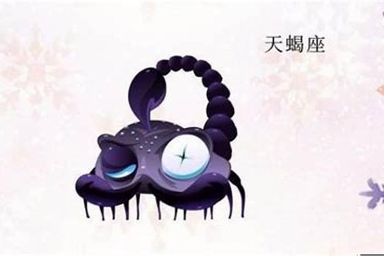 天蝎的冷漠是怕爱上对方