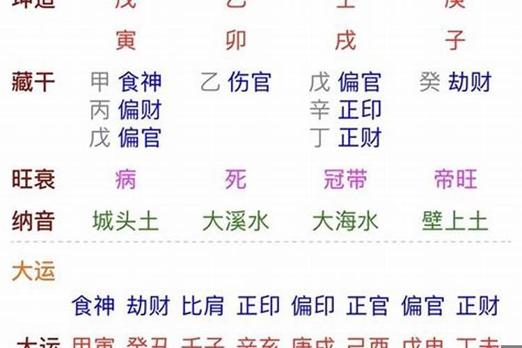 癸未日壬戌时命理