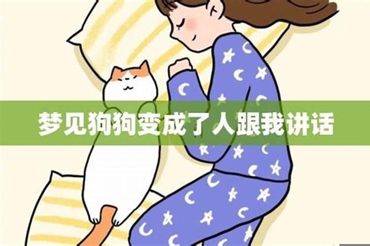 梦见狗狗跟我很友好