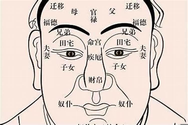 面相是不是能看出一个人的运势