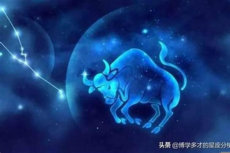 摩羯座心思重