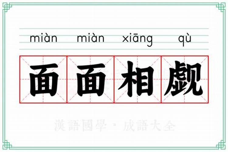 面面相什么的意思