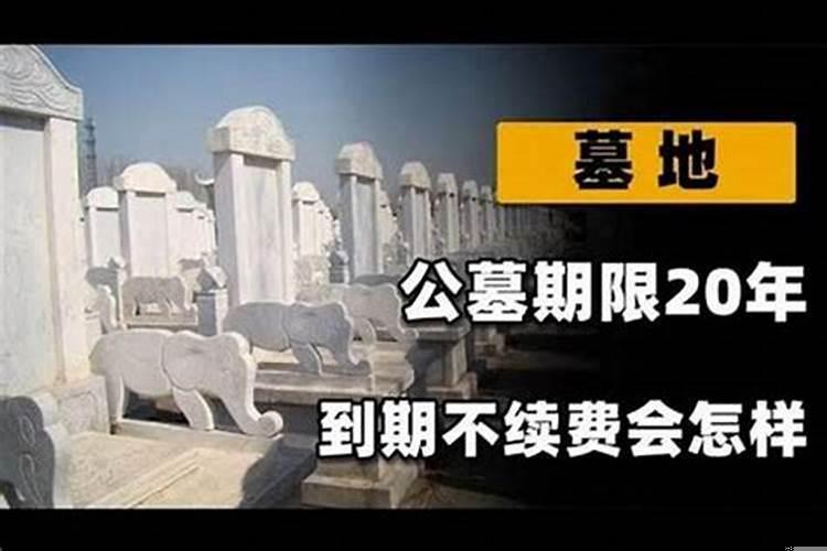 咋样选墓地