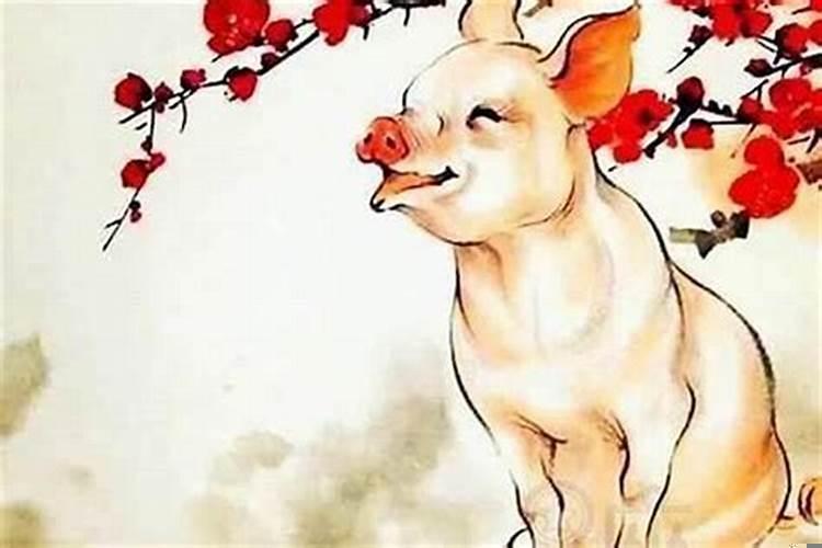 生肖猪的桃花贵人