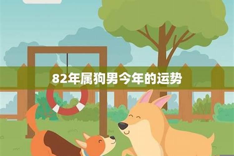 属狗的事业运与财运