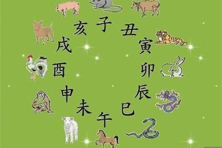 夫妻二人属相不合怎么办