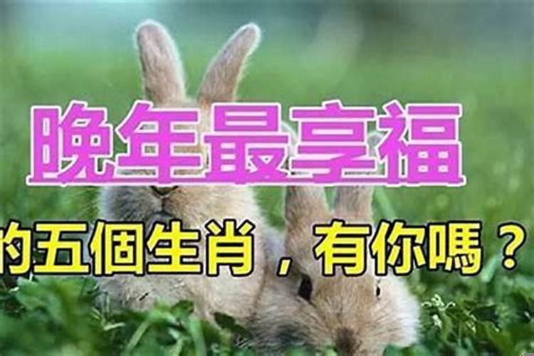 晚年命好的三大生肖