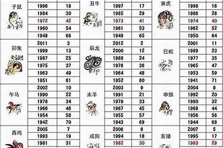 属龙的结婚忌哪三个属相